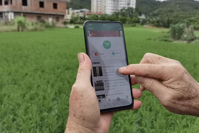 c8ea15ce36d3d5391e024fdc6586375b352ab0fb.jpeg@f_auto.jpeg c8ea15ce36d3d5391e024fdc6586375b352ab0fb.jpeg@f_auto.jpeg