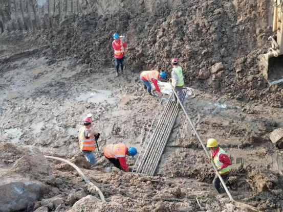 深耕“生態(tài)綠” 奮戰(zhàn)“開門紅”0320(1)(1)411.png