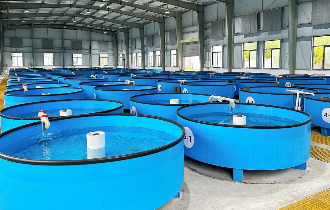 圖片1.png 圖片1.png