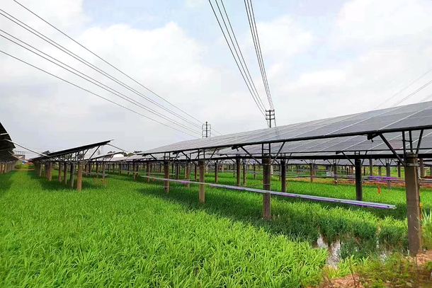 圖片3.png 圖片3.png