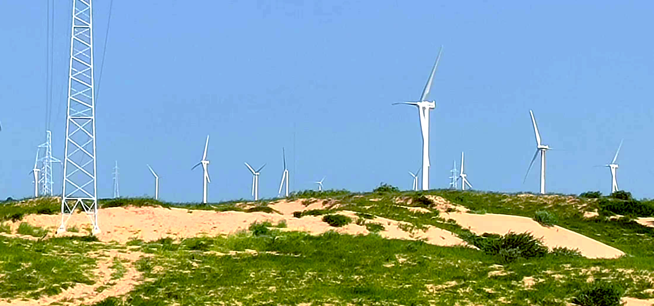 2309201652088766656.jpg 2309201652088766656.jpg