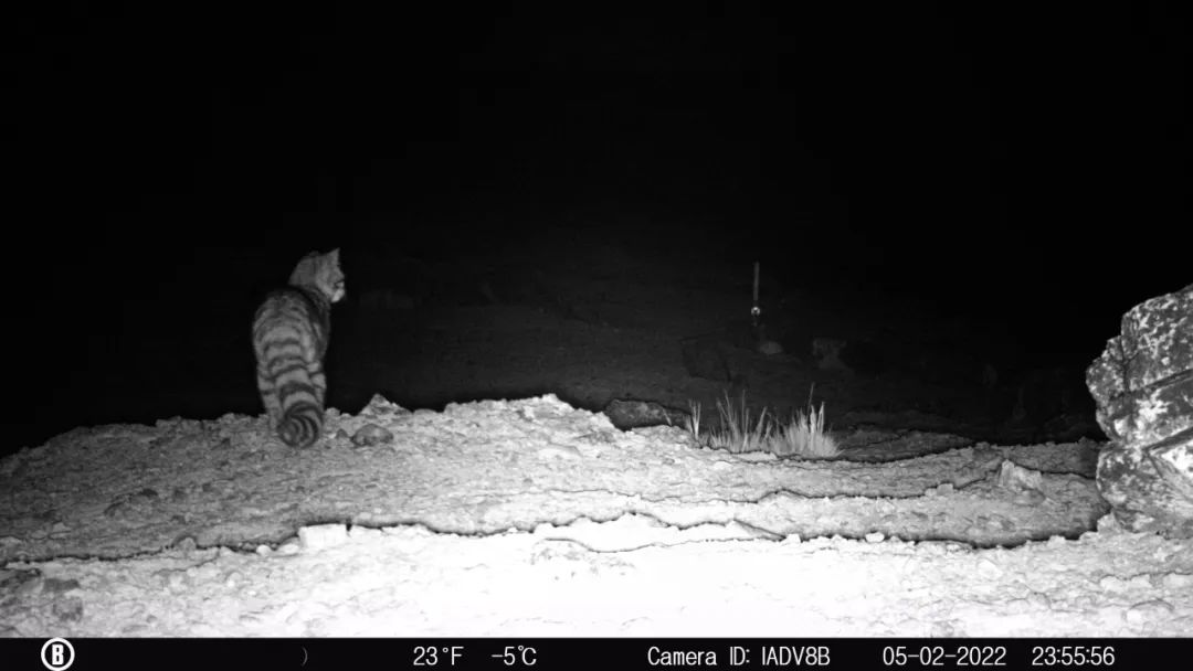 640 (1).jpg 640 (1).jpg