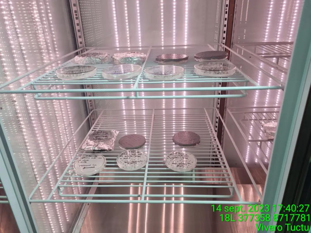 640 (4).jpg 640 (4).jpg