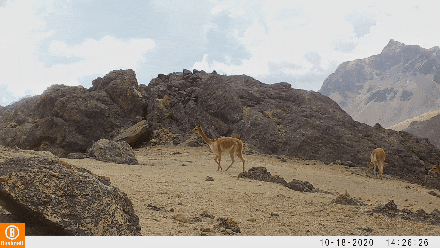 640 (2).gif 640 (2).gif