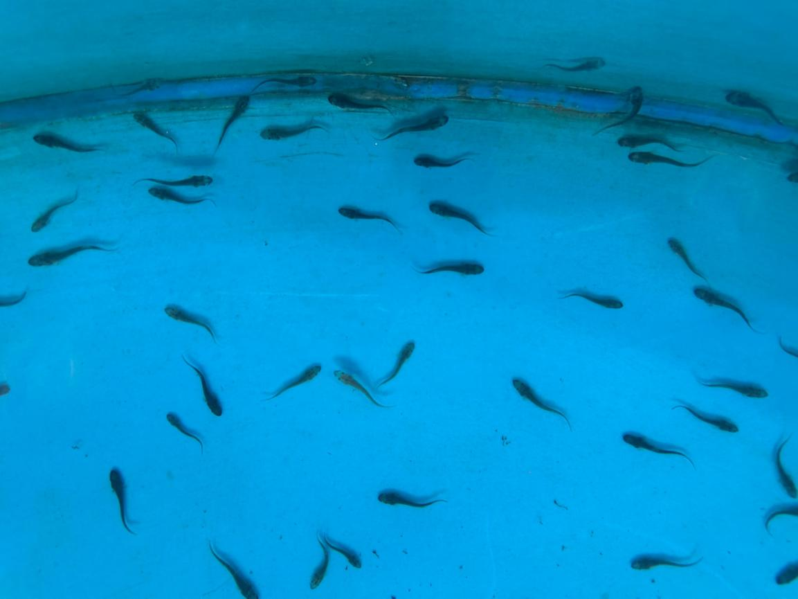 71e5f3f26f1e8f3ff45515237233c315.png 71e5f3f26f1e8f3ff45515237233c315.png