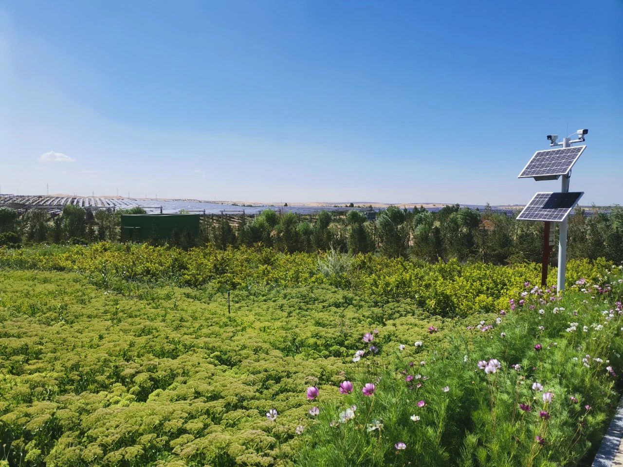 微信圖片_20231203004935.jpg 微信圖片_20231203004935.jpg