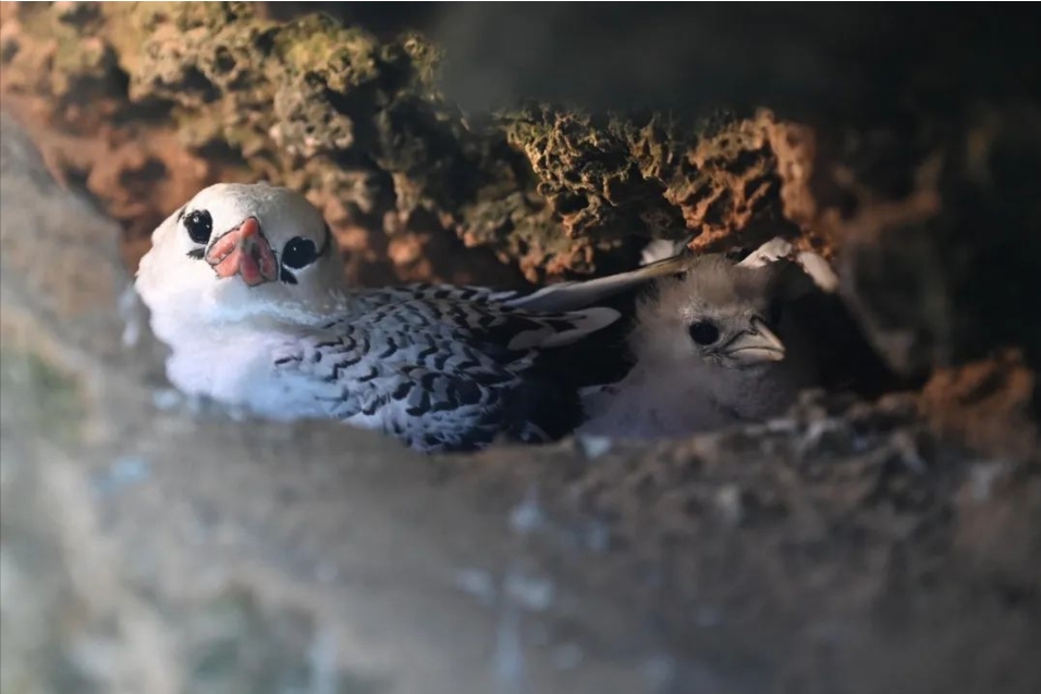 微信截圖_20240507160821.png 微信截圖_20240507160821.png