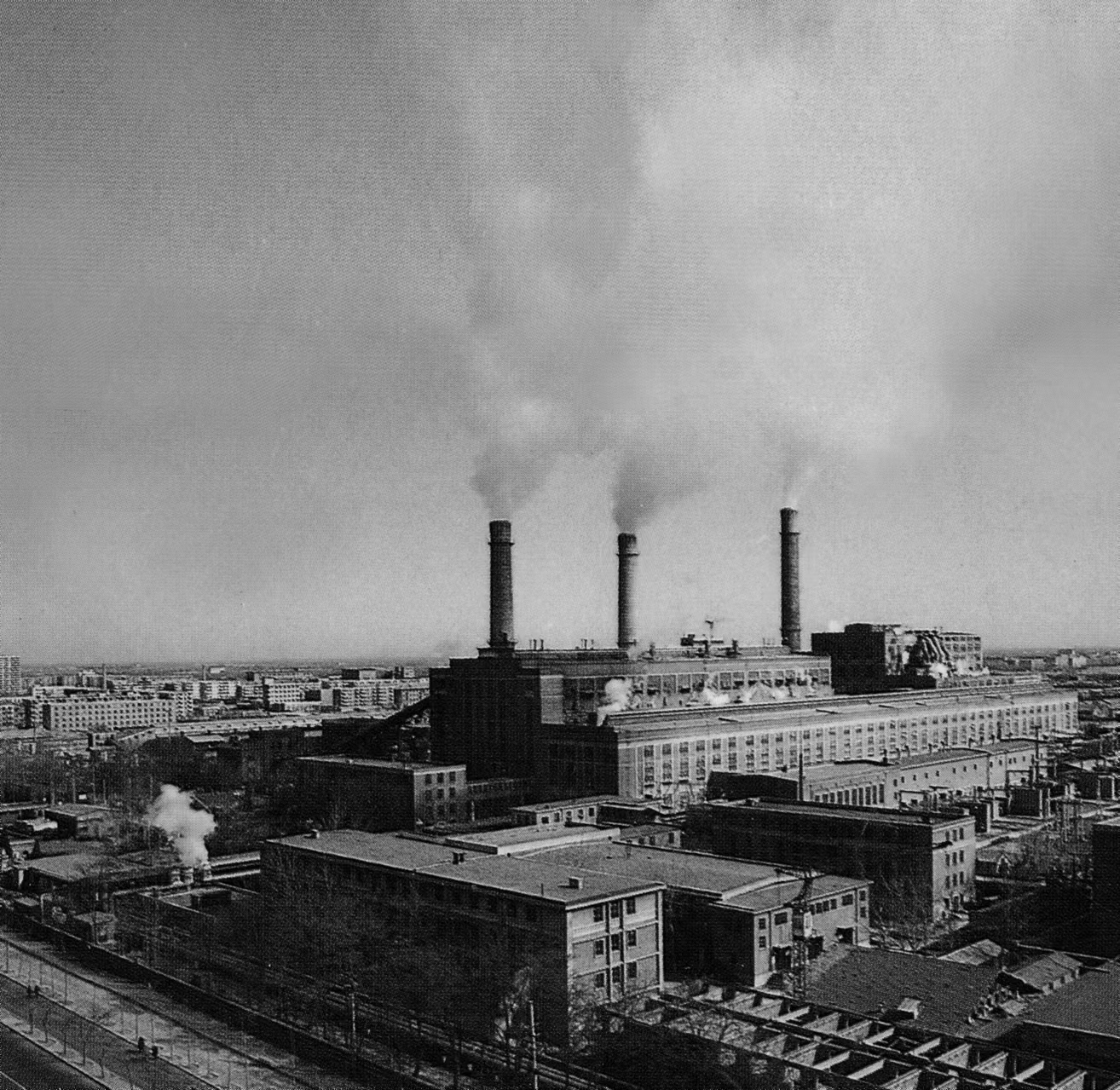 WechatIMG19.jpg WechatIMG19.jpg