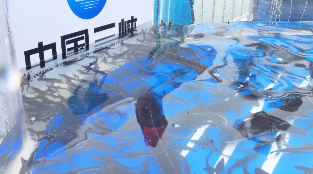 圖片2.png 圖片2.png