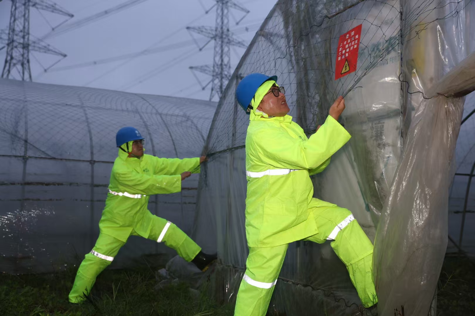 2.國網上海超高壓公司輸電運維人員在浦東臨港地區緊急處置重要輸電通道下破損蔬菜大棚。.jpg