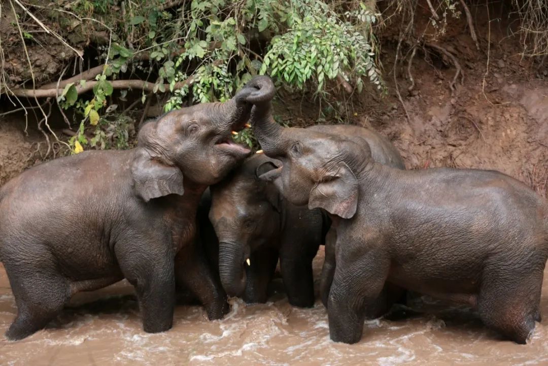 89c3bba919c0434a8db632cf756ae5eb.jpg 89c3bba919c0434a8db632cf756ae5eb.jpg