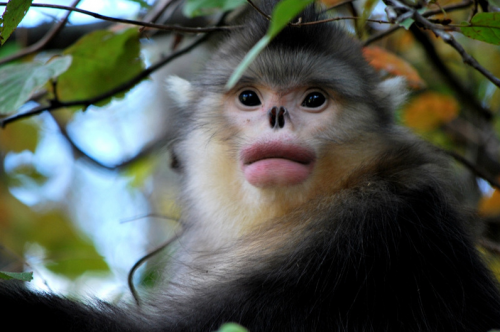 640 (8).png 640 (8).png