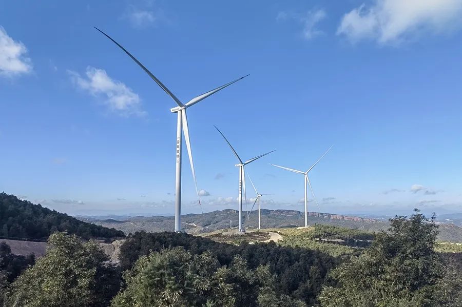 6405646456464.jpg 6405646456464.jpg