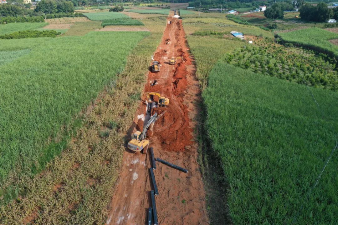 220gengma.jpg 220gengma.jpg