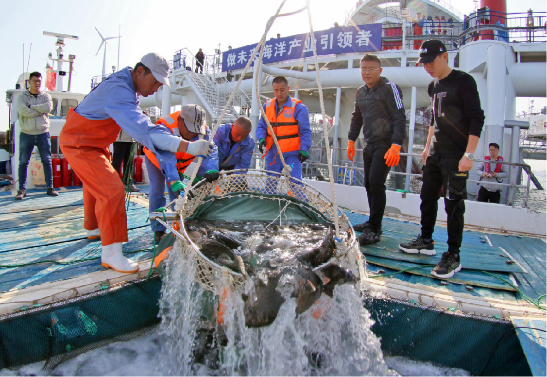 圖片6.png 圖片6.png