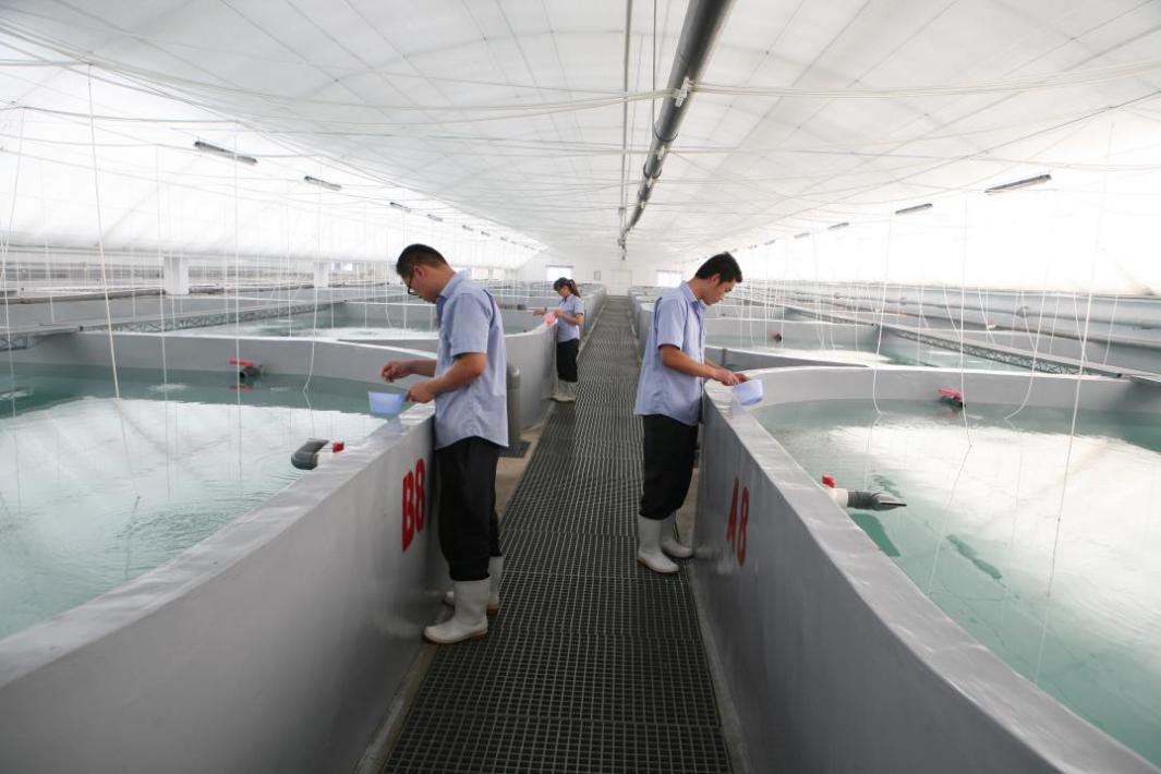 圖片7.png 圖片7.png