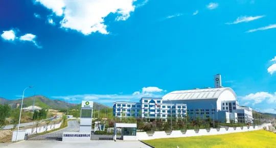 綠色動力.jpeg 綠色動力.jpeg