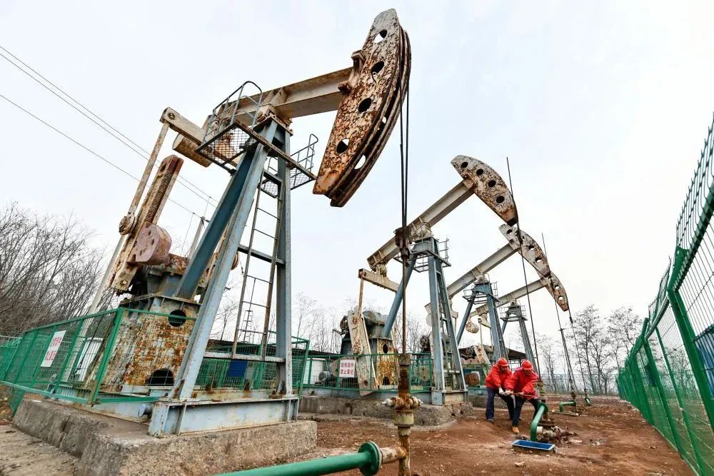 圖片1.jpg 圖片1.jpg