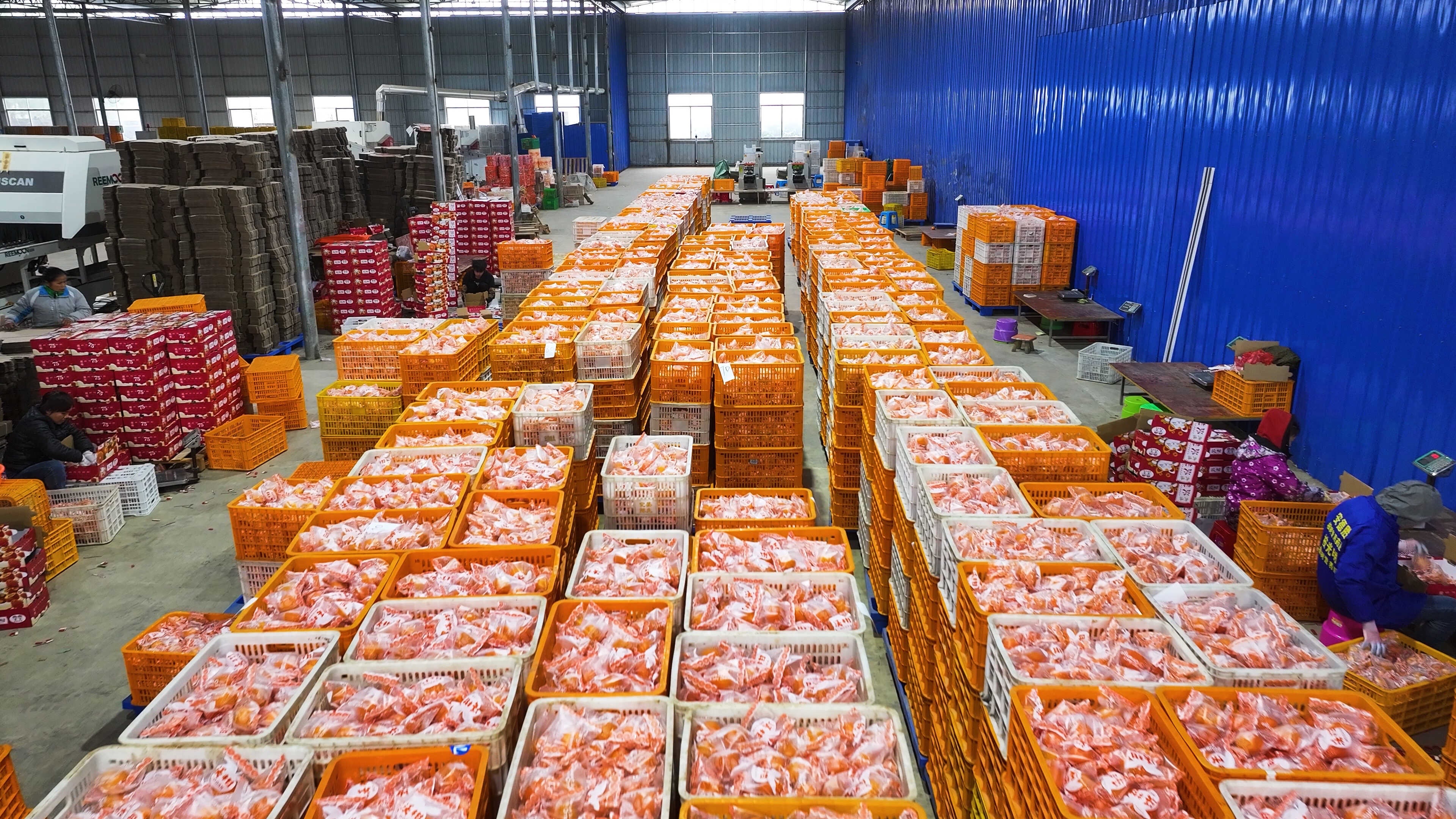 廣西現(xiàn)代物流集團積極推動“南果北運 北糧南運”.jpg