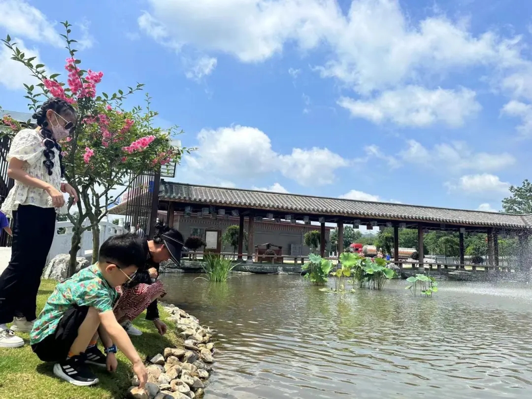 mmexport1722903871102.jpg mmexport1722903871102.jpg