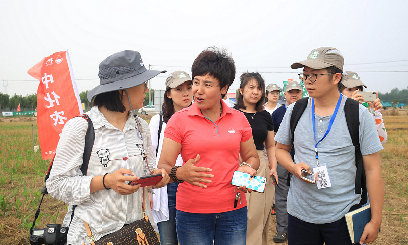 圖為陽信MAP技術服務中心合作伙伴、開源農機合作社理事長張鳳霞向現場媒體介紹示范農場的建設和示范情況。（中化集團 供圖）