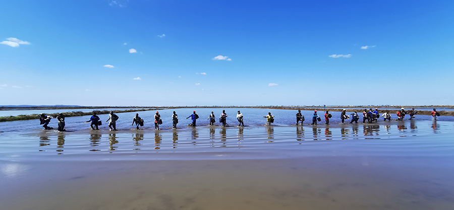 “目前，我們采用無人機等農業現代化技術，有效保證水稻質量、提高水稻產量。”項目負責人胡計高介紹，在開拓水稻種植面積的同時，項目還新建了1座泵站，采用水直播和旱直播相結合的方式，有效提高水稻播種效率，實現提質增效。圖為員工播撒稻種。