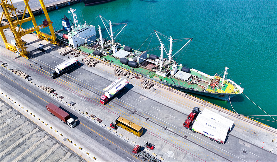 同比增長超兩成，上半年遼港集團集裝箱生產“成績單”亮眼5 (2)-ok.jpg