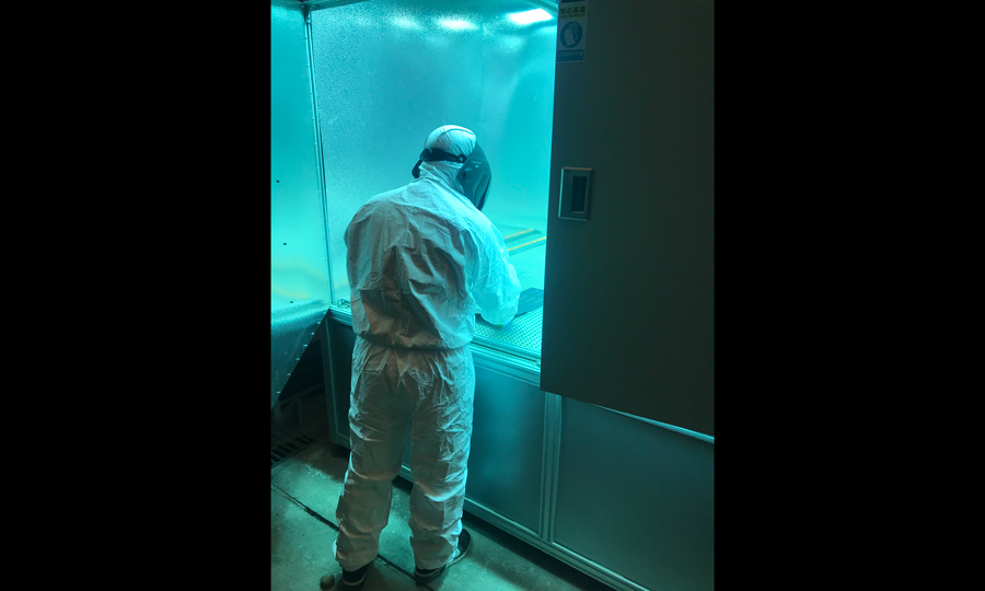 紫外輻照箱輻射強(qiáng)烈，對(duì)人體特別是人眼傷害極大，需要穿戴全身防護(hù)服和頭盔進(jìn)行保護(hù)。胡曉楊正在查看輻照產(chǎn)品的狀態(tài)。（作者：丁佐鑫）